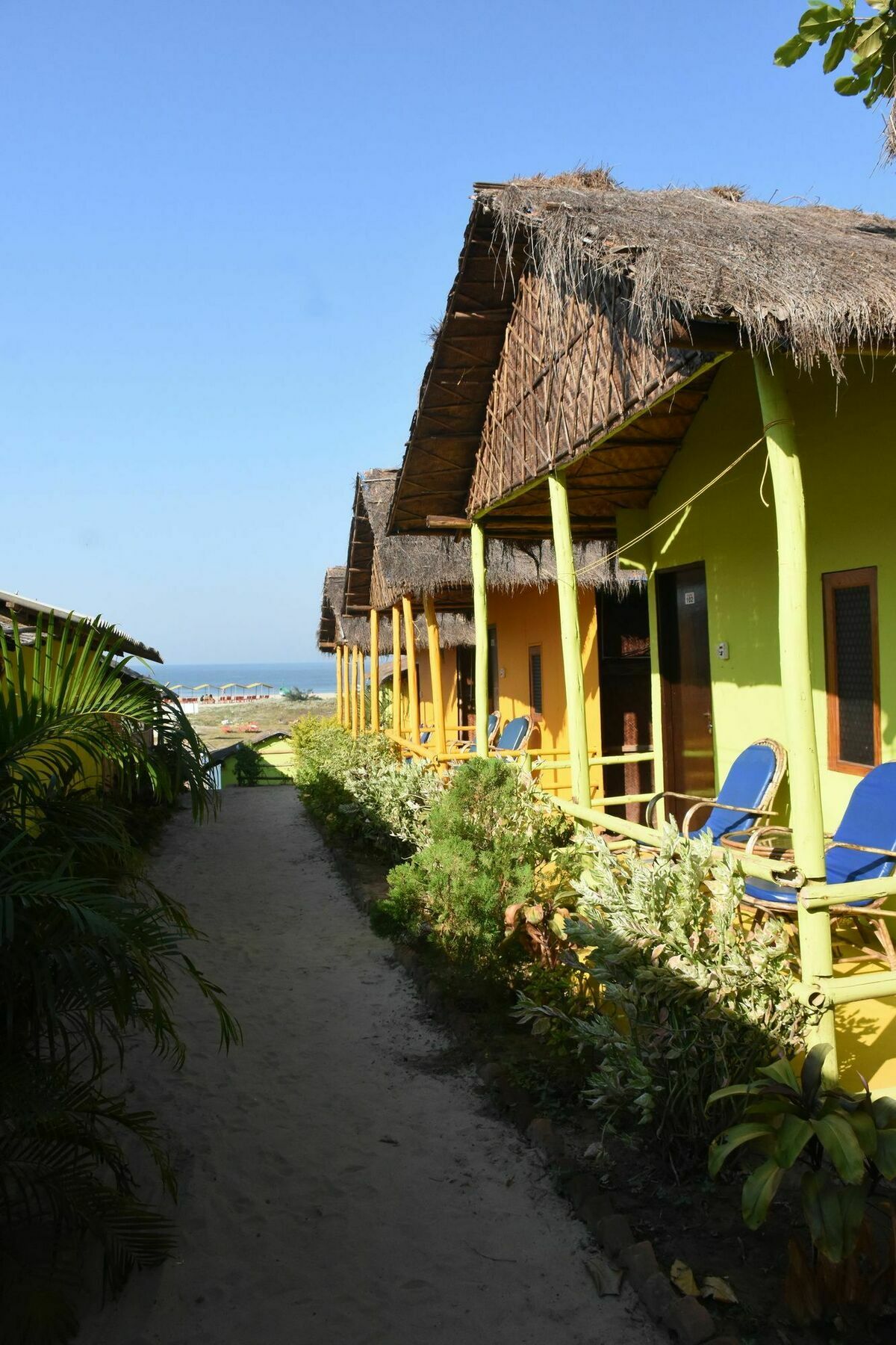 Molly'S Nest Hotel Mandrem Luaran gambar